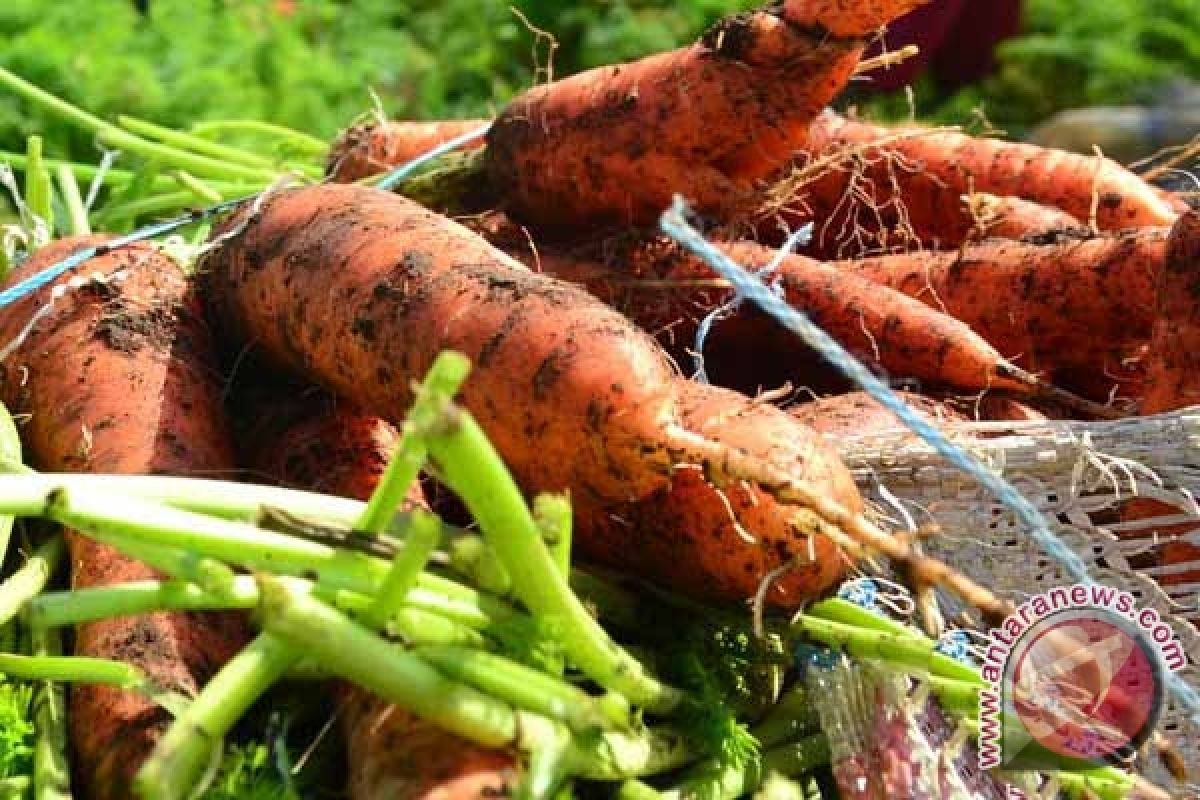 Kurangi Risiko Kanker dengan Sayuran Dan Buah