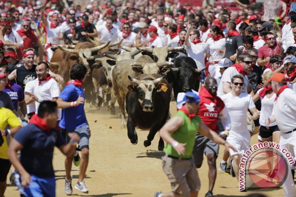 Lima orang dilarikan ke rumah sakit akibat cedera "lari banteng" Pamplona