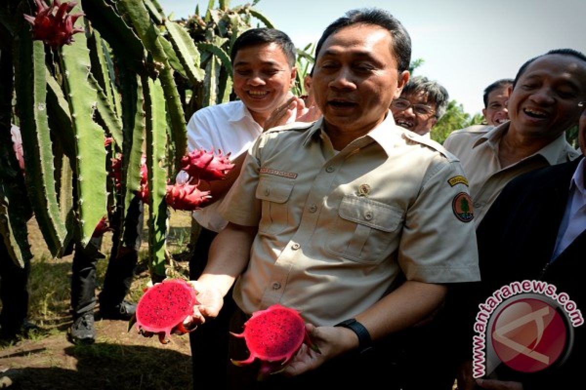 Kunjungan Kerja Menteri Kehutanan ke Balai Pelatihan dan Pengembangan Masyarakat (BPPM) Sinarmas Forestry