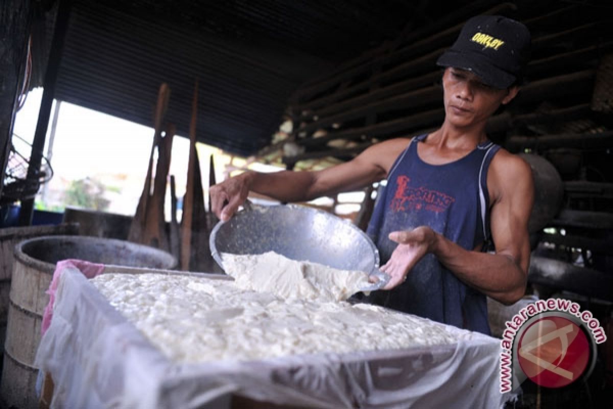 Produsen tahu belum berani naikan harga