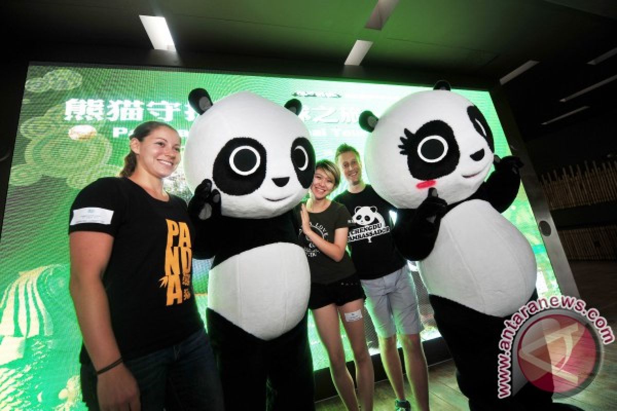 Panda Ambassadors Visit Singapore's River Safari on Global Conservation Tour