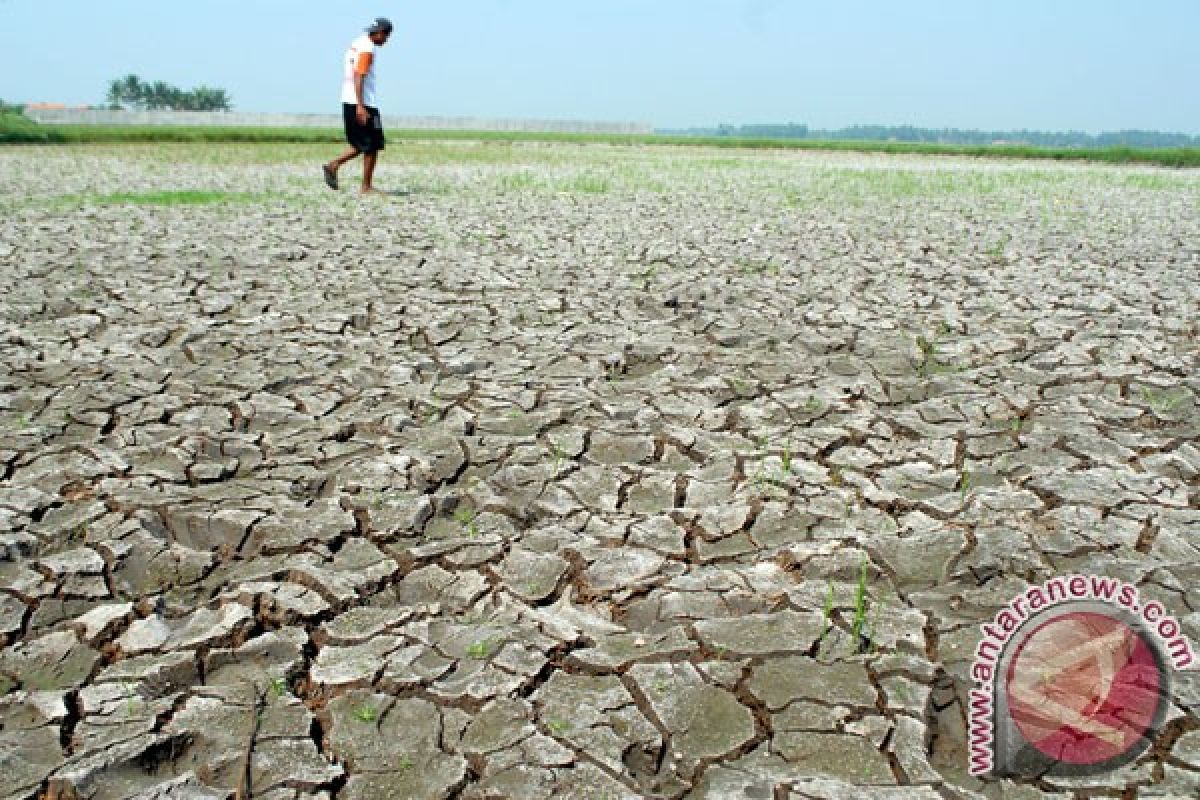 Informasi perubahan iklim belum sampai ke desa