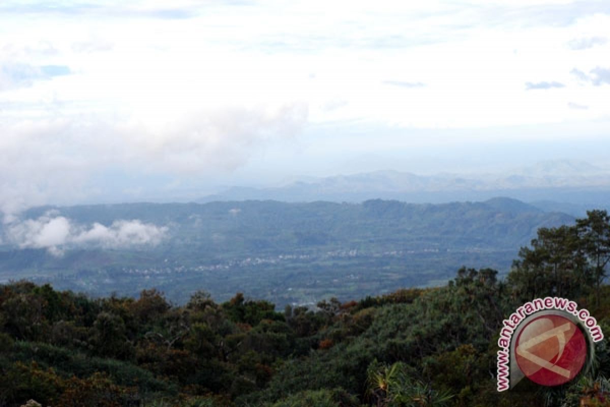 Peringati Hari Bumi dengan kampanyekan "Hutan Itu Indonesia"