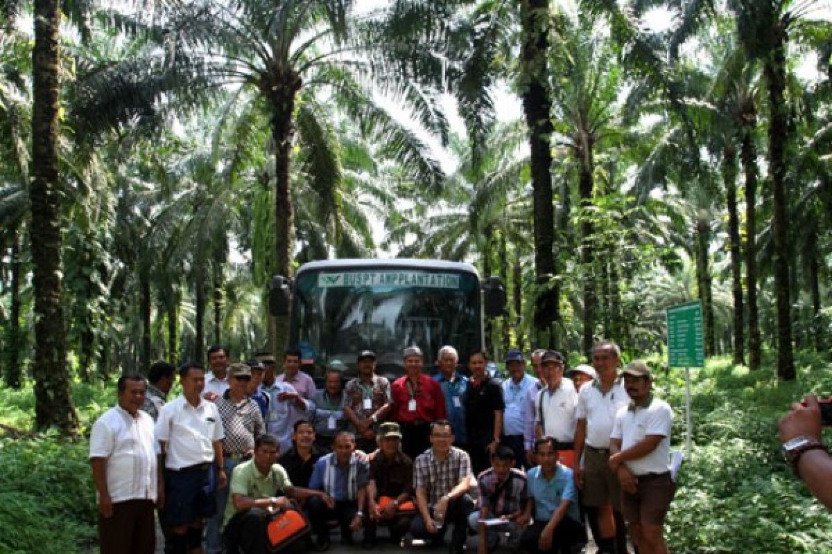 Dinas Koperasi Malut bangun pengelolaan minyak kelapa