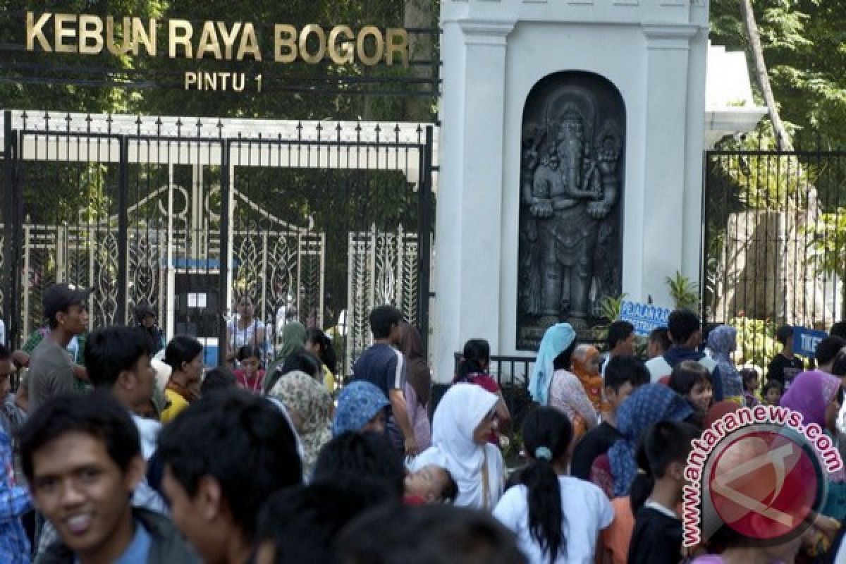 Wow, Pengunjung Kebun Raya Bogor Capai 9.372 Orang