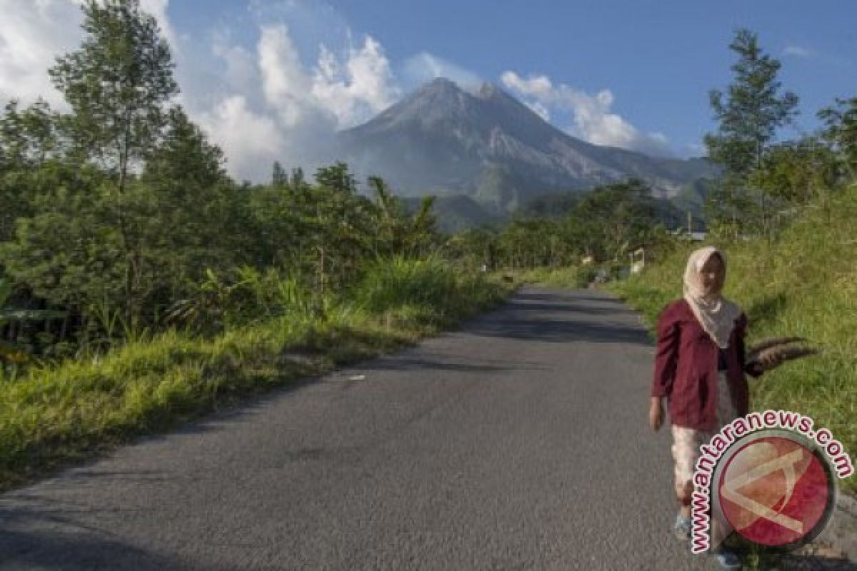 SAR ungsikan pendaki Merapi terkena longsor