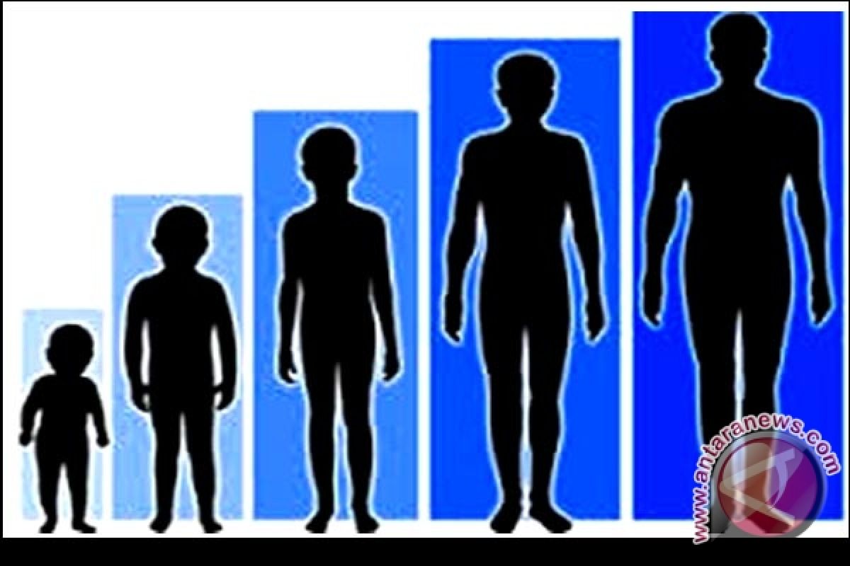 Lebih sehat dan lebih besar: Pria Eropa bertambah tinggi 11 cm dalam satu abad