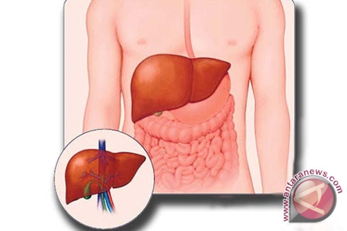 Bisakah penyakit Hepatitis B sembuh total?