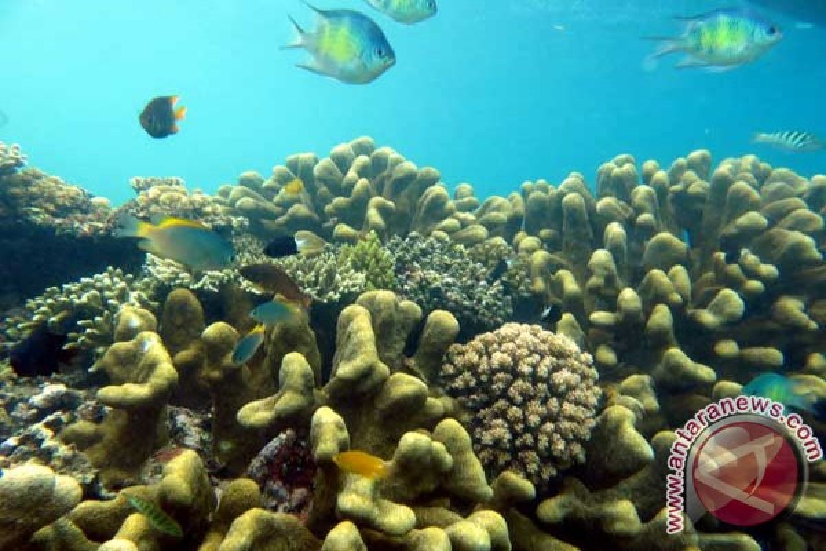 Tiga provinsi bahas kerja sama wilayah