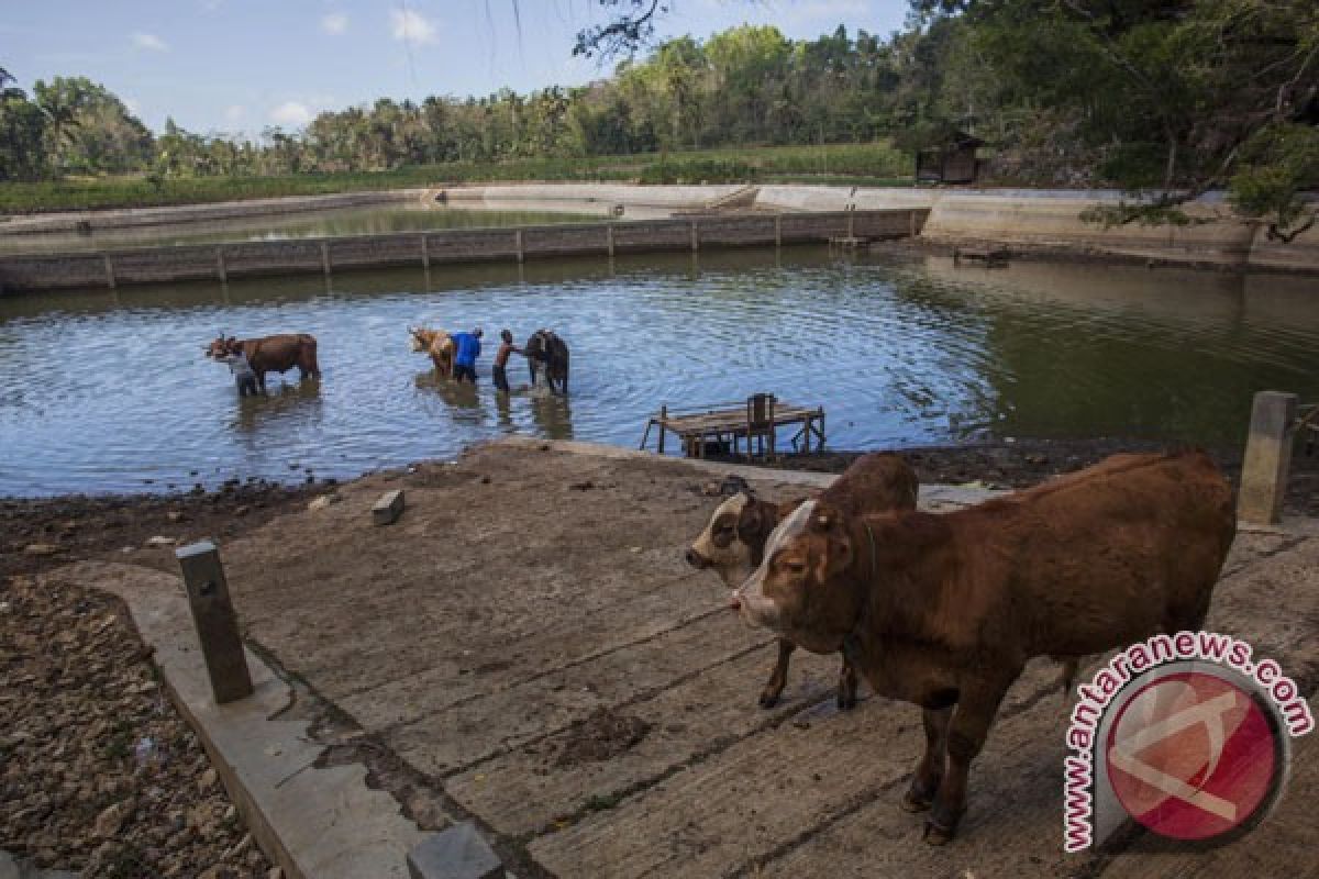 Ambar Tjahyono ajak petani Gunung Kidul bentuk koperasi