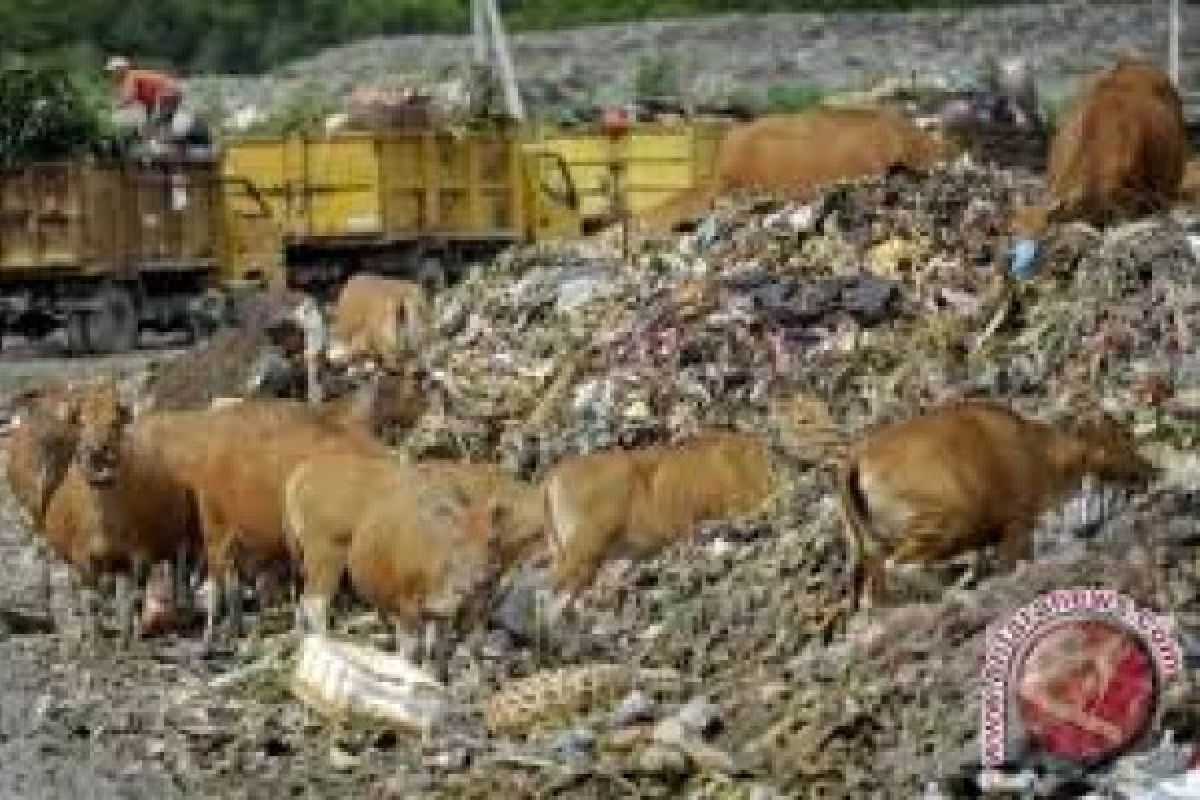 Limbah plastik diubah jadi bata trotoar di Ghana