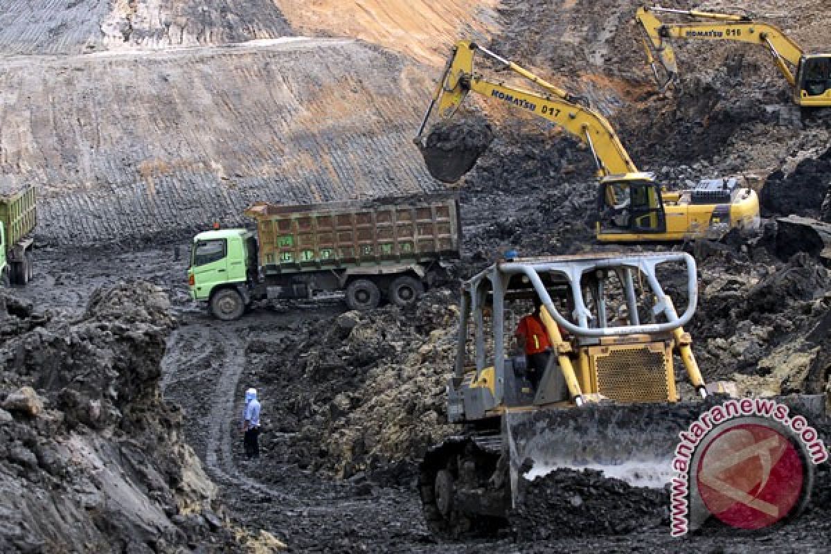 Government to optimize use of coal in energy mix