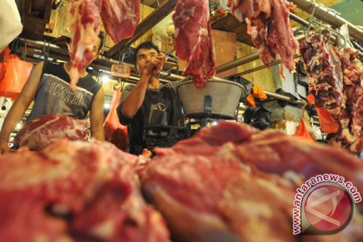 Pemerintah akan perbanyak impor daging sapi