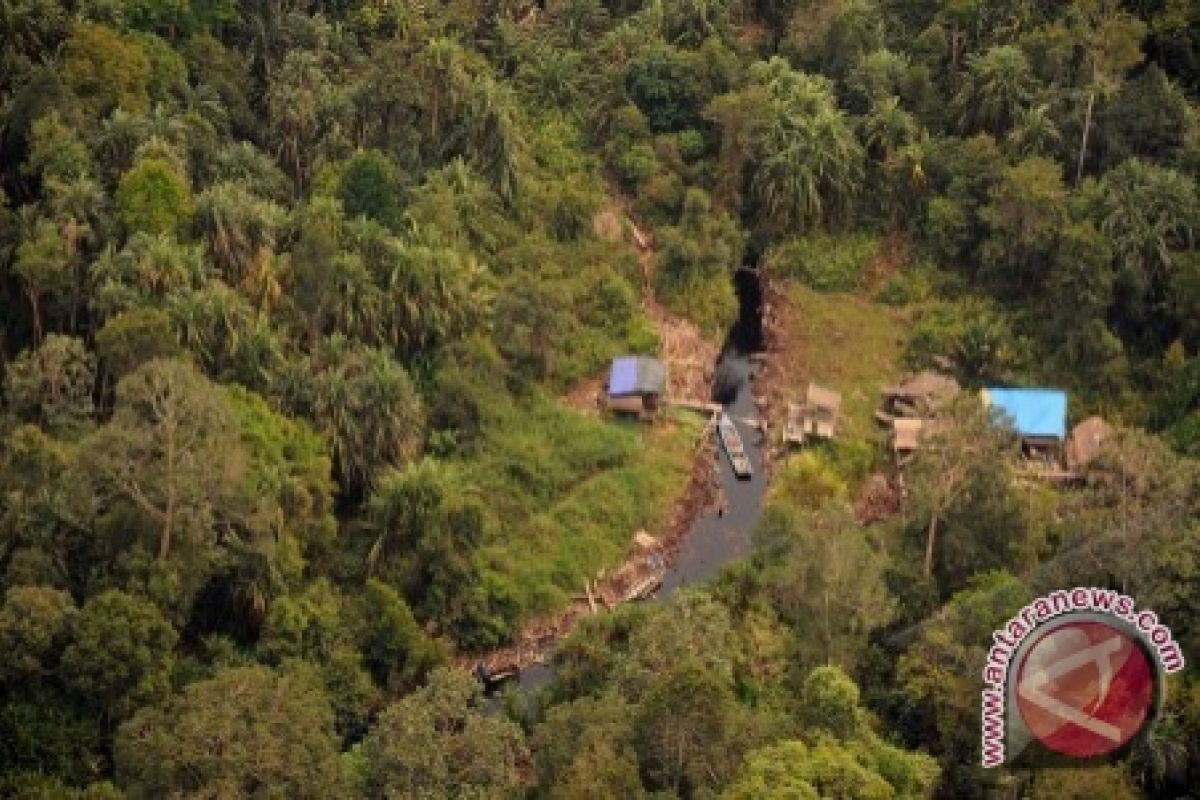 Dishut Musirawas hentikan pengeluaran izin hasil hutan