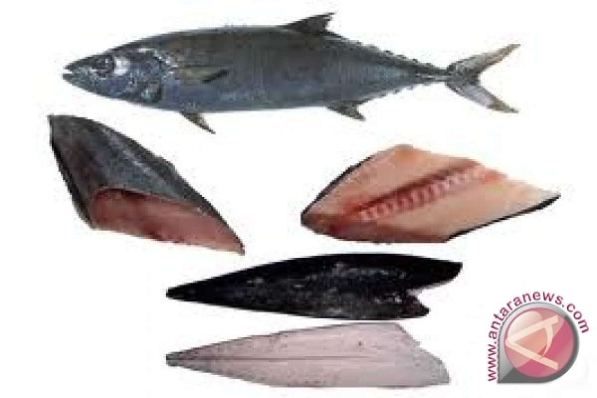  Fakta Tentang Minyak Ikan