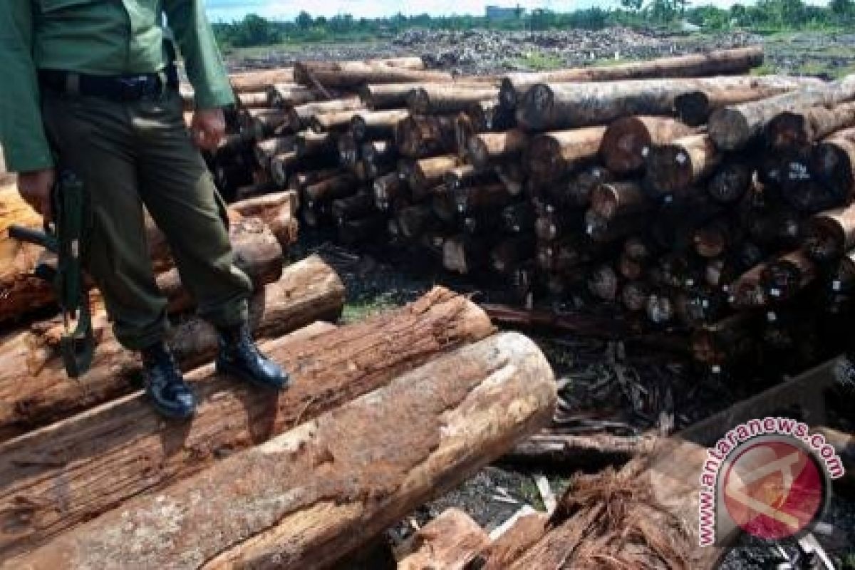  Polisi Bangka Barat Tangkap Dua Pembalak Liar