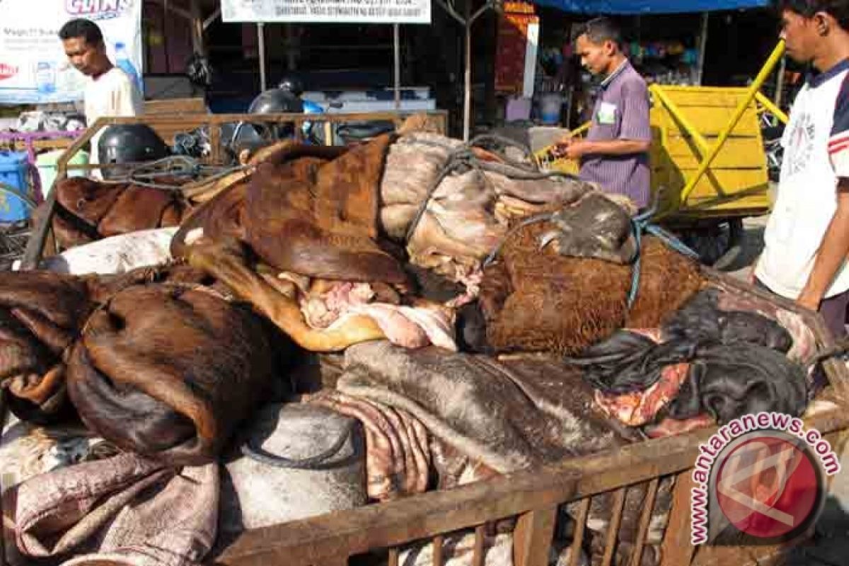 Kotabaru Kembangkan Kerajinan Kulit Sapi 