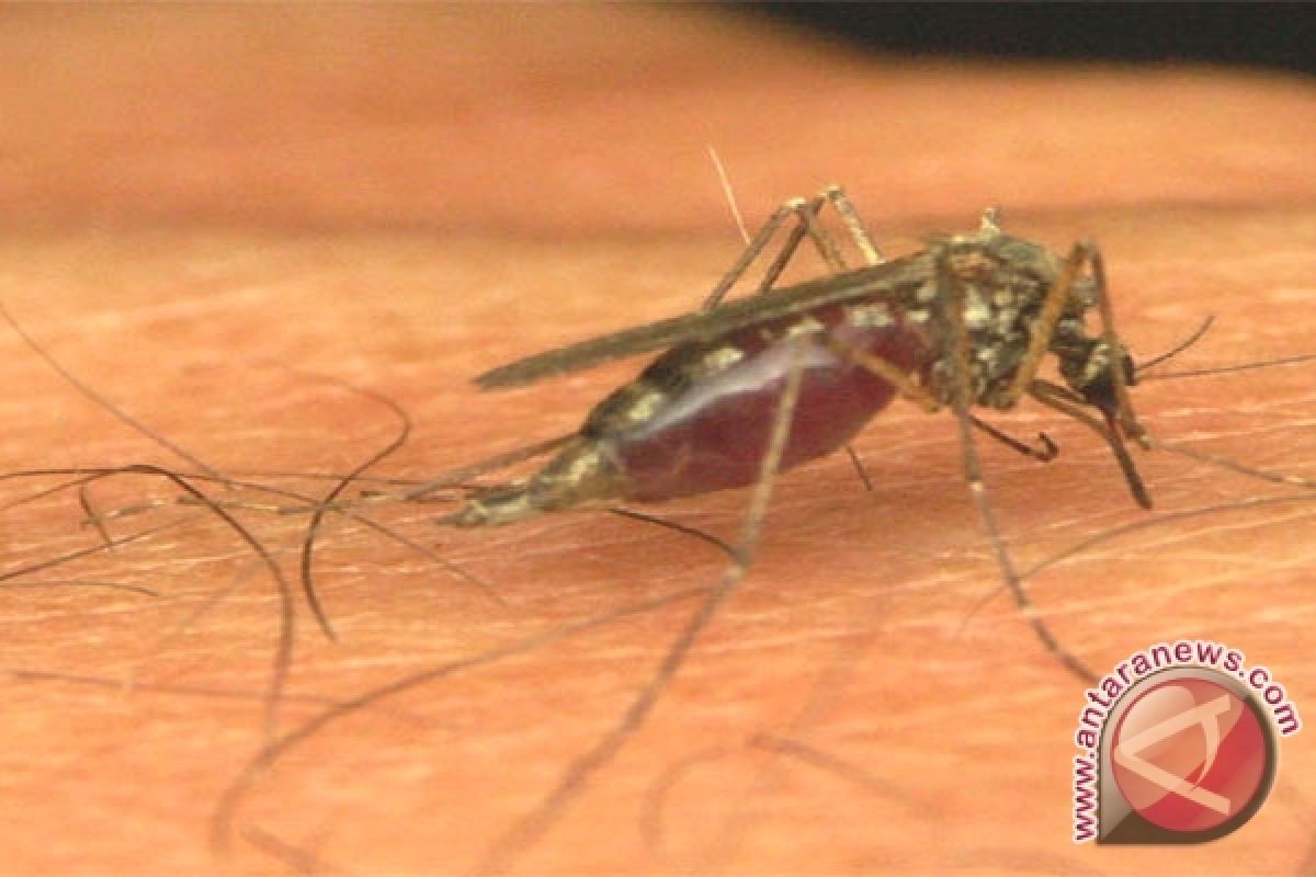 Seruyan Targetkan Bebas Malaria 2018 