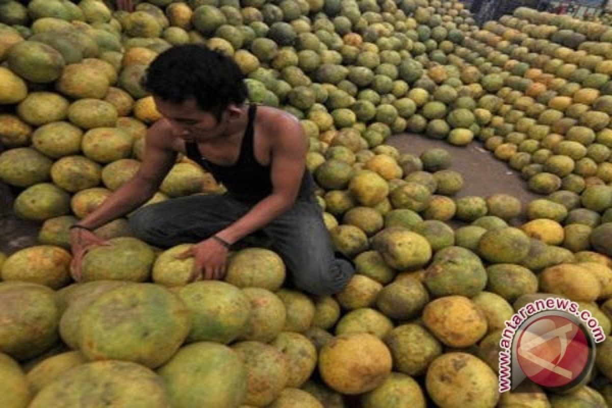  Buah-Buahan Bali Diharapkan Terhidang Di KTT APEC