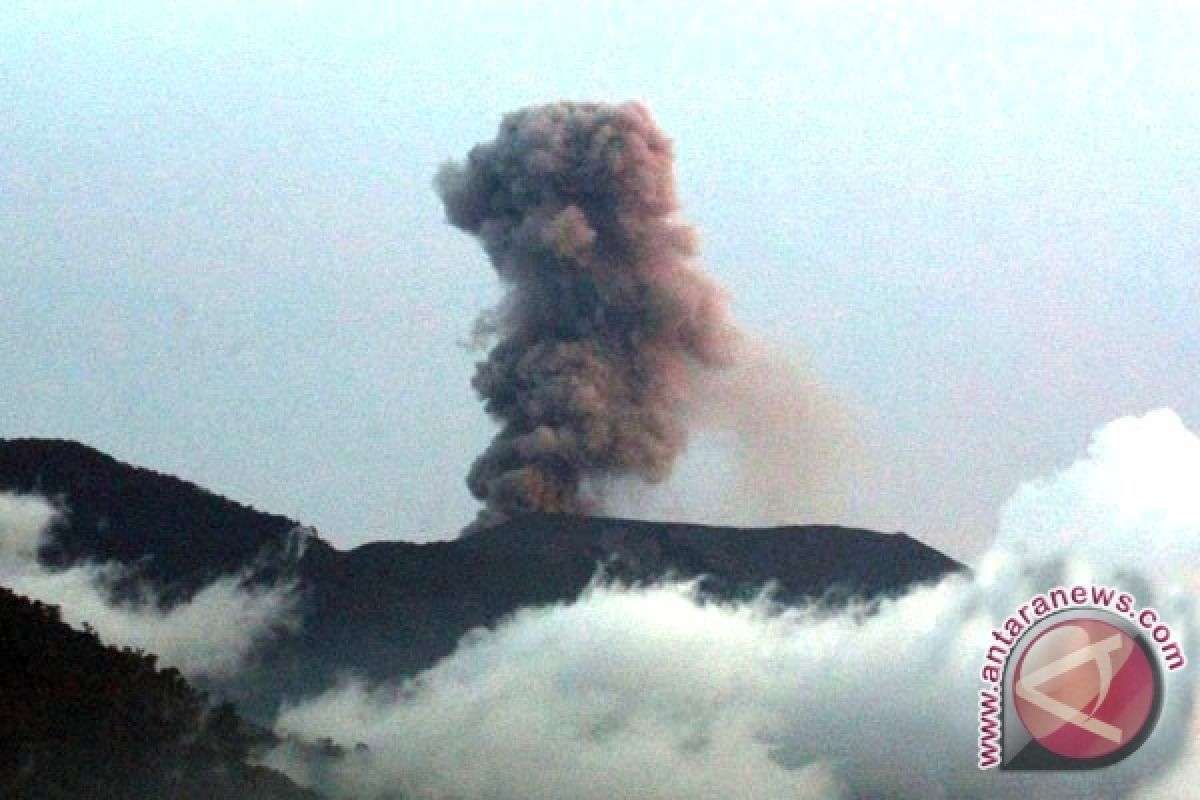 Gunung Marapi Kembali Semburkan Abu Vulkanik