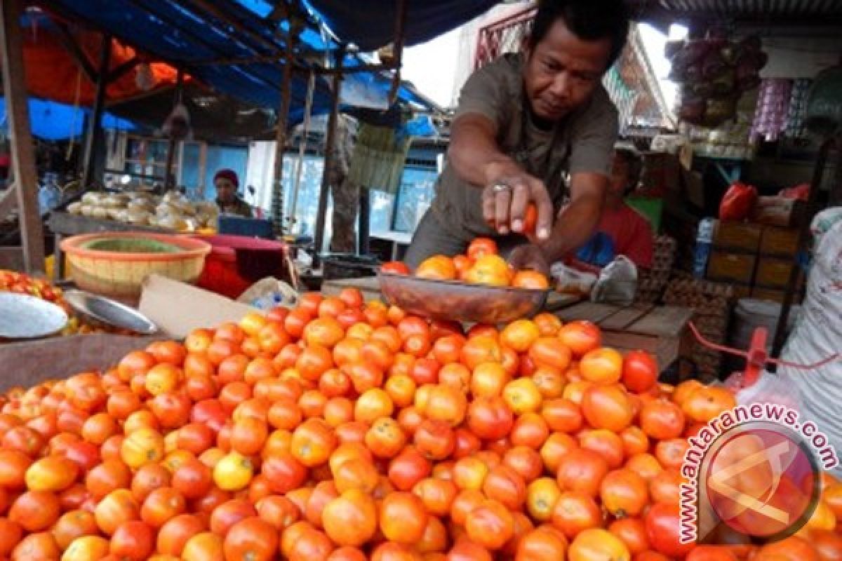 Harga tomat di muntok tembus Rp40.000/kilogram