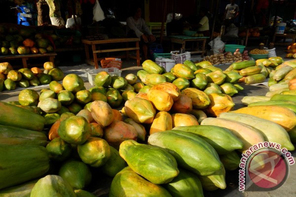 Permintaan pepaya California Lebak meningkat