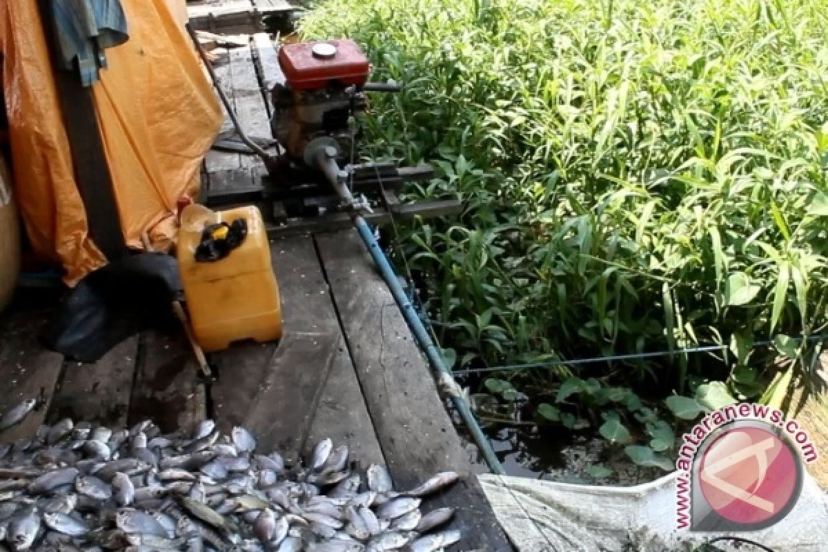 Mesin Perahu Jadi Alat Penyisik Ikan