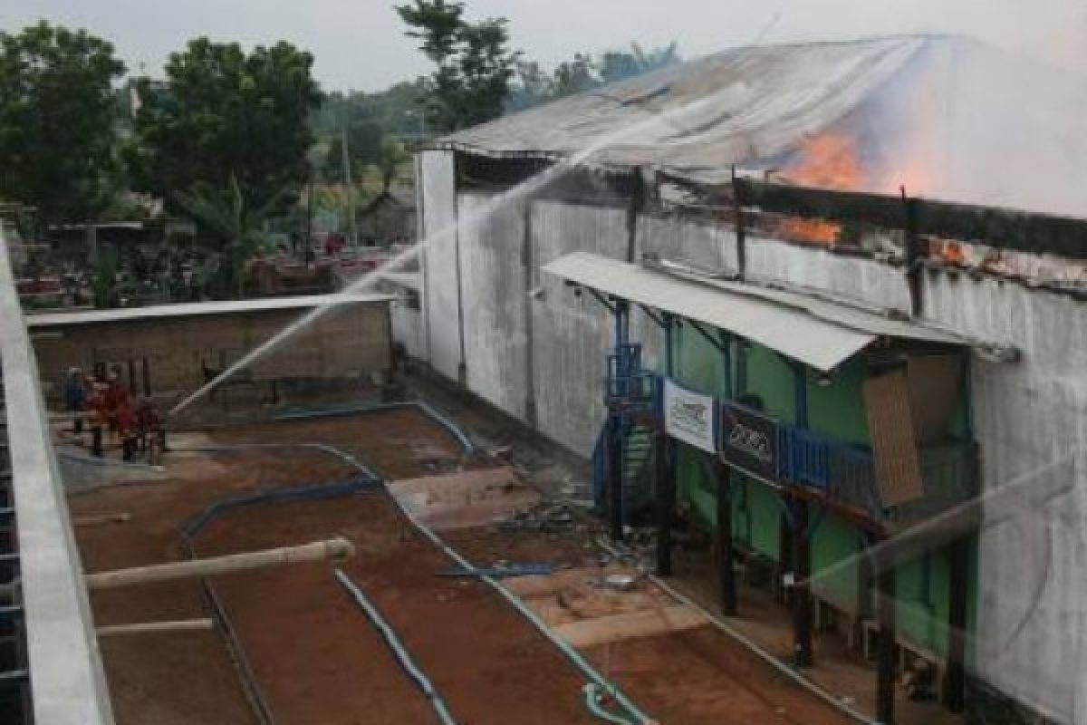 Pabrik Penggergajian Kayu Terbakar