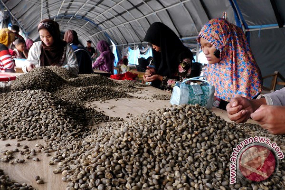 Ketiga terbesar di dunia, produksi kopi Indonesia di bawah Brasil