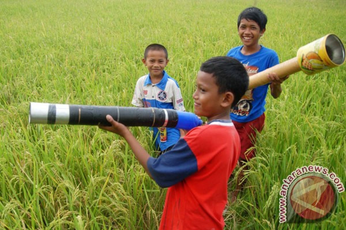 Bocah Ngawi terluka akibat bermain meriam spiritus