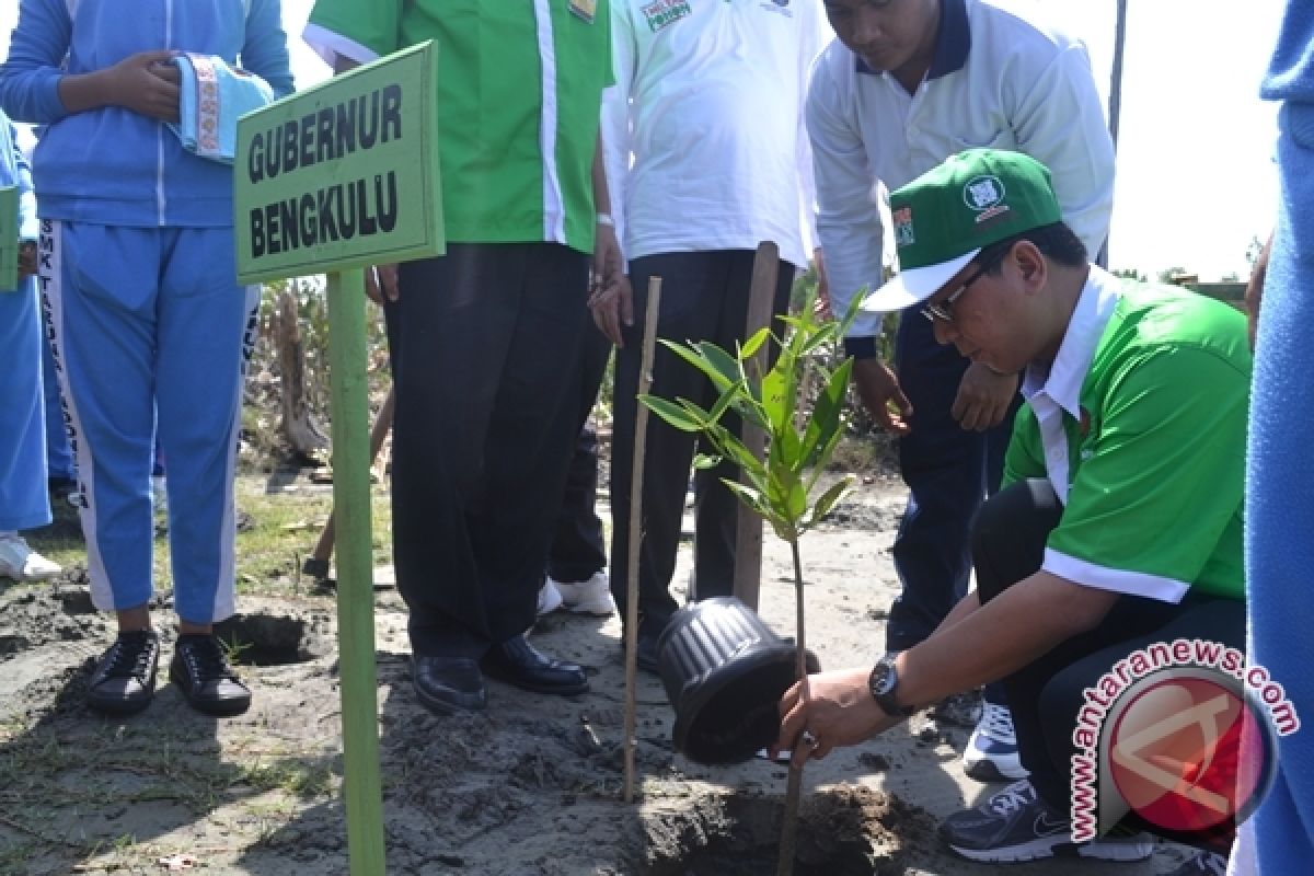 Gubernur : selamatkan hutan mangrove Bengkulu