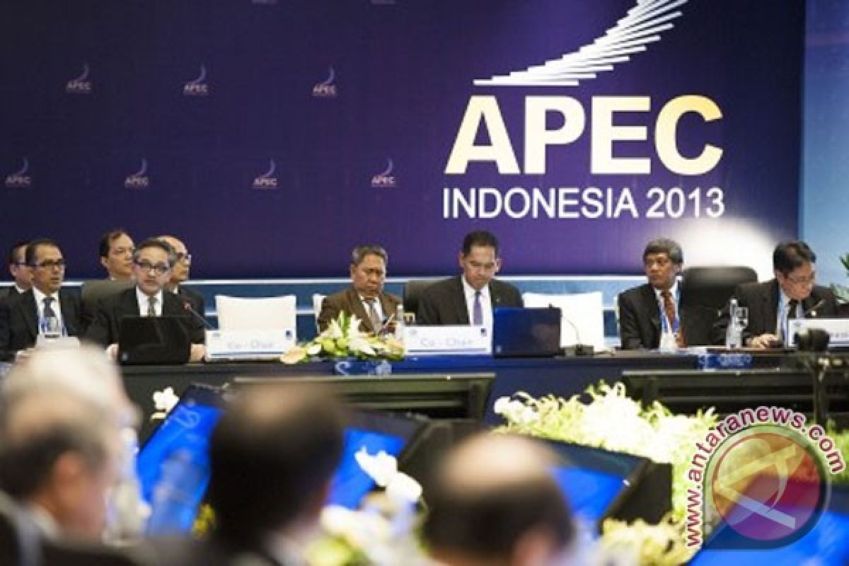 Indonesia eager to become regional power through APEC