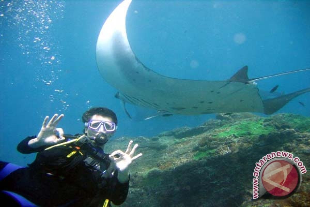 Objek wisata Nusa Penida dipromosikan di Melbourne 