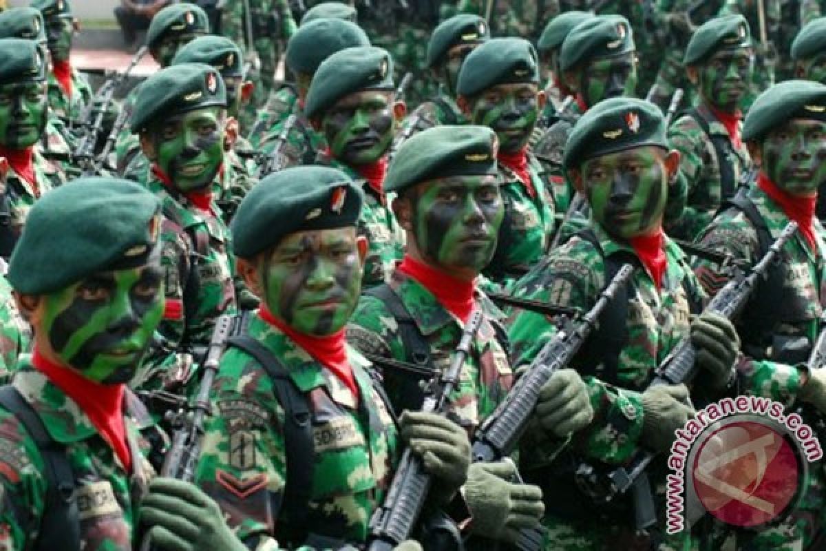 TNI gelar operasi penegakan ketertiban 2014
