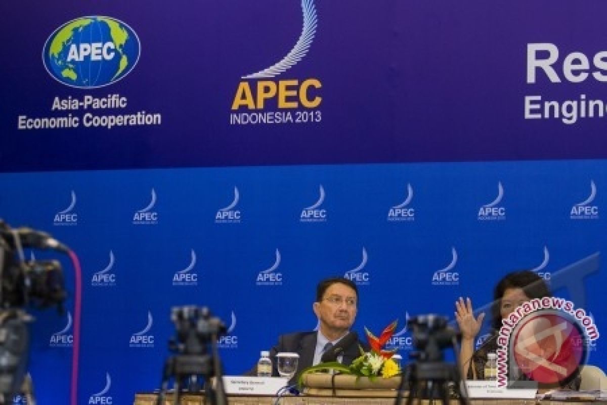 Hatta Rajasa: APEC Angkat RI Sebagai Kekuatan Regional