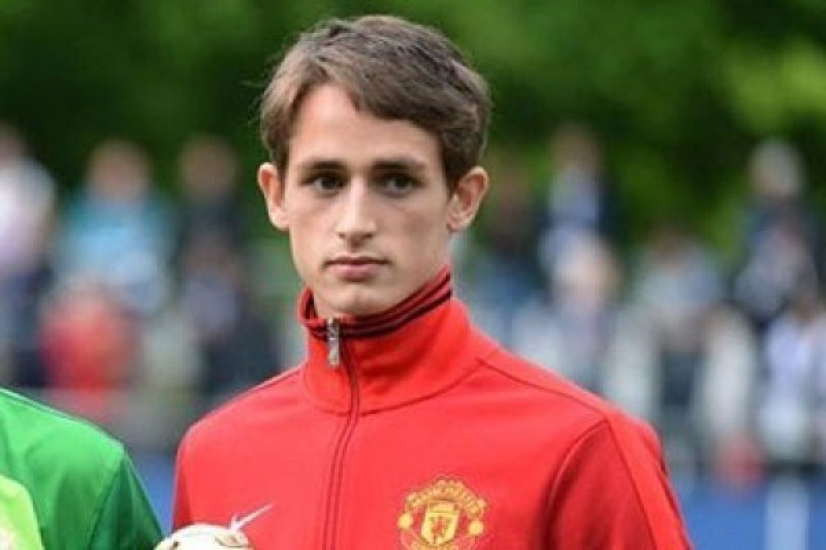 Dick Advocaat berminat rekrut Januzaj