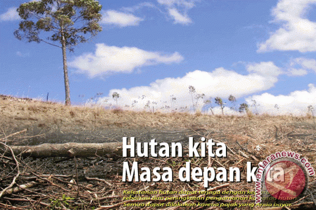 Menyikapi pengelolaan hutan Indonesia