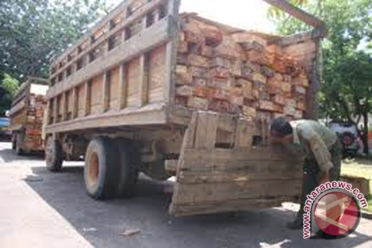 Diamankan Truk Bermuatan Kayu 