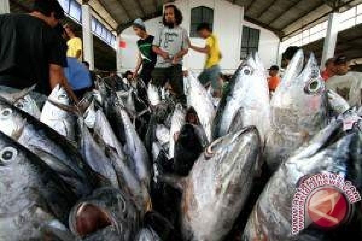 Kebutuhan Ikan Balikpapan Dipenuhi dari Transhipment