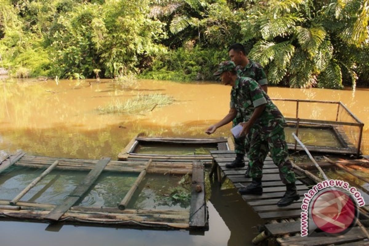 Artikel - Satgas TNI Berdayakan Perikanan Desa Tapal Batas