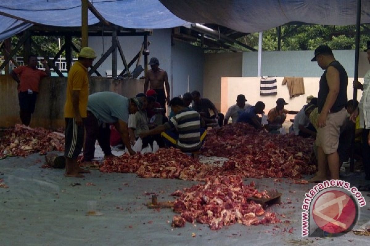 Korban gempa sembelih hewan di tempat pengungsian