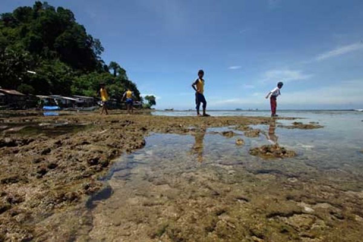 Sumbar bersaing dengan Bangka dan Bintan kembangkan wisata laut dan pulau