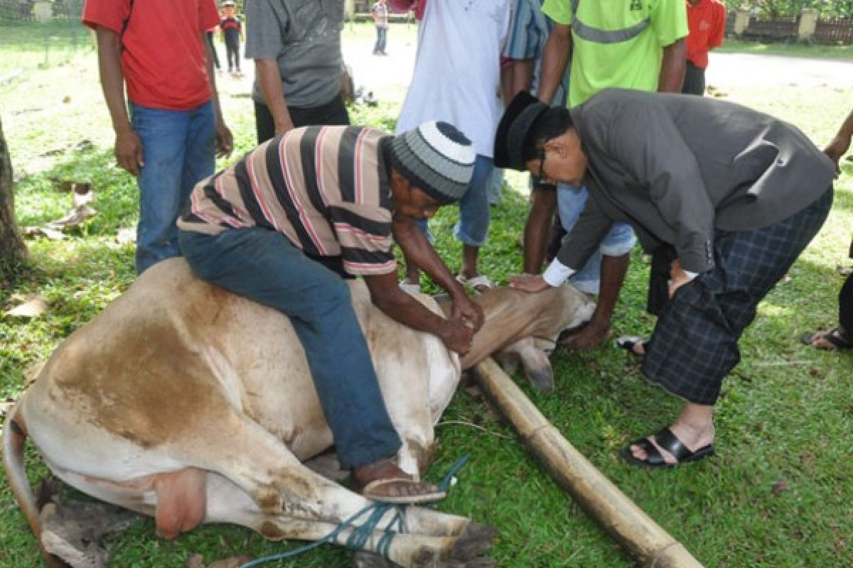 Bupati: Peredaran Uang Saat Idul Adha Rp60 Miliar