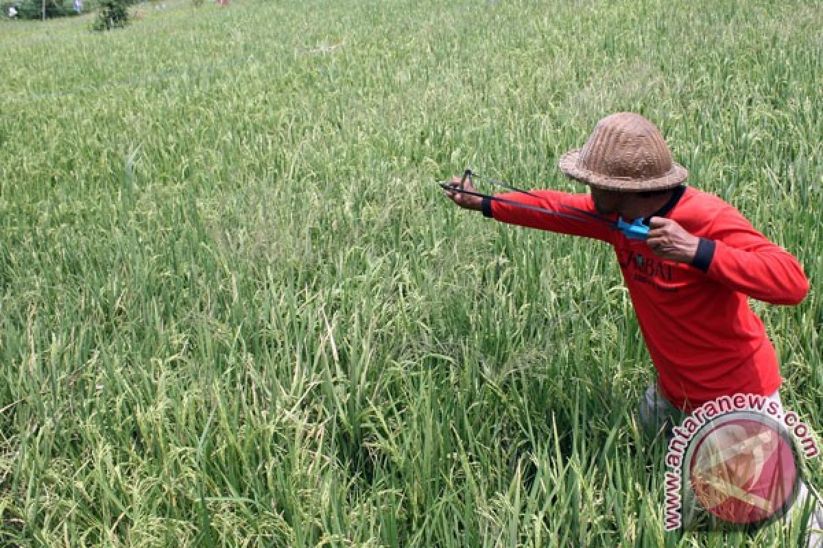 Mentan nilai kesadaran petani beragribisnis rendah