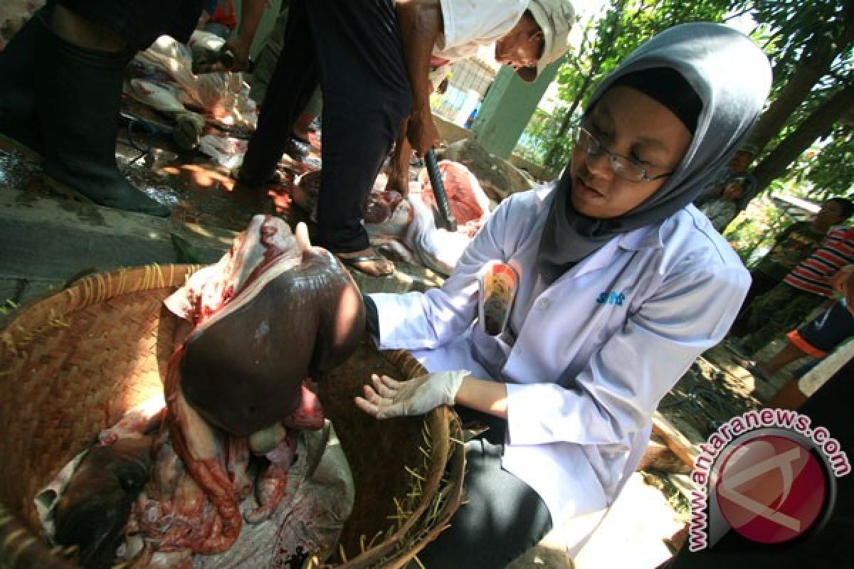 Warga Pamekasan patungan sembelih sapi untuk Lebaran