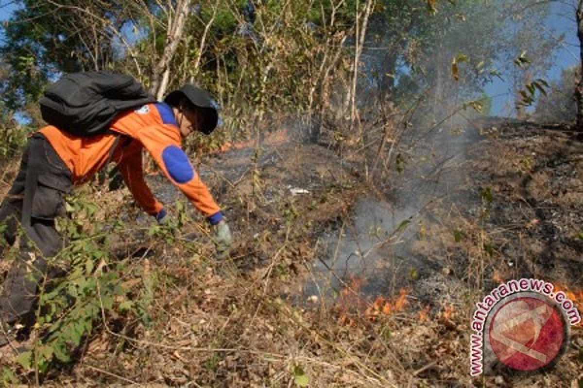 Empat perusahaan ditengarai bakar lahan