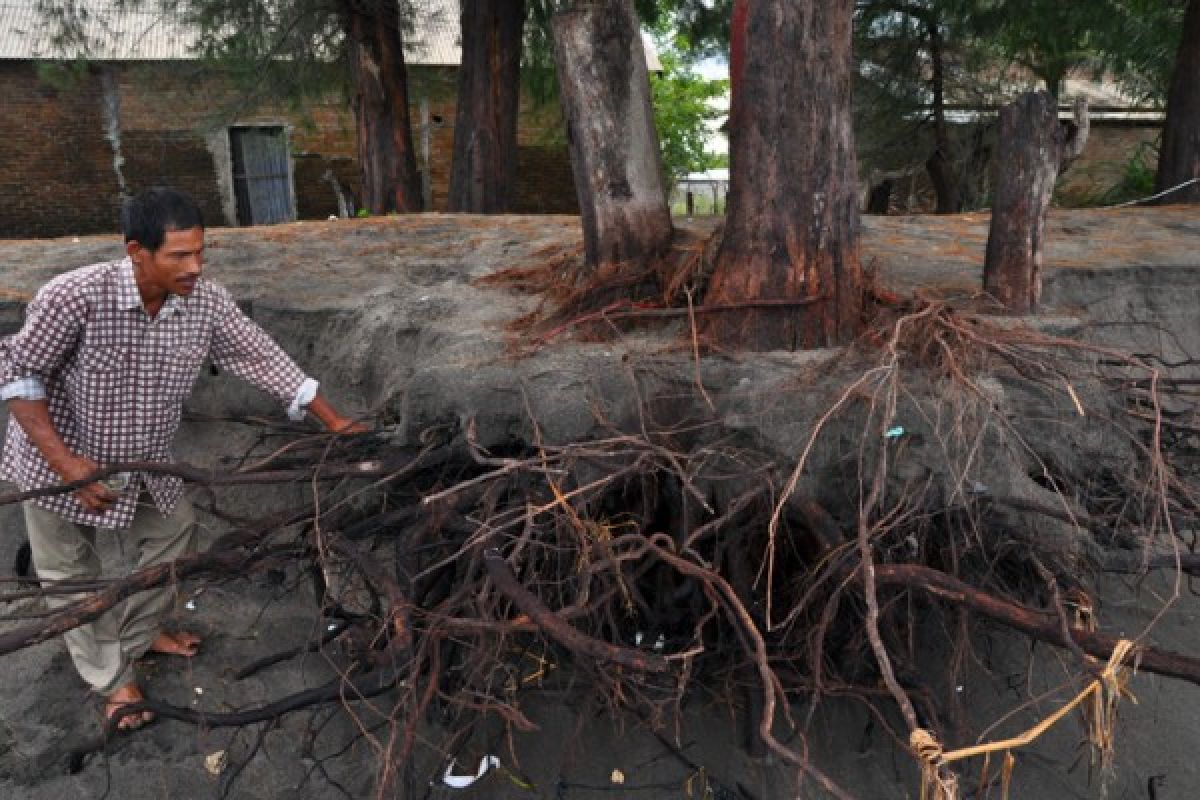 APBD Tak Mampu, Pariaman Upayakan Bantuan Pusat Atasi Abrasi Pantai