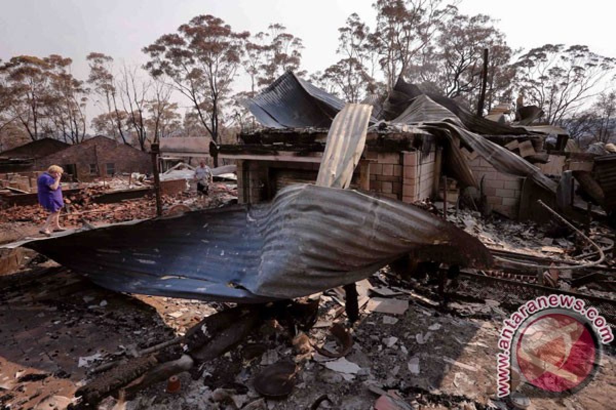 Sydney diselimuti asap berbahaya akibat kebakaran lahan