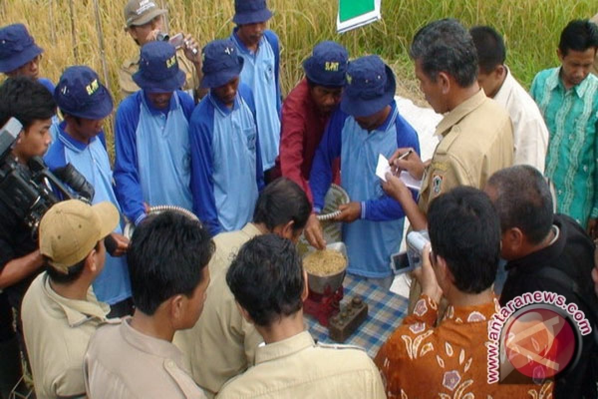 Pemkab Gunung Kidul tambah jumlah penyuluh pertanian 