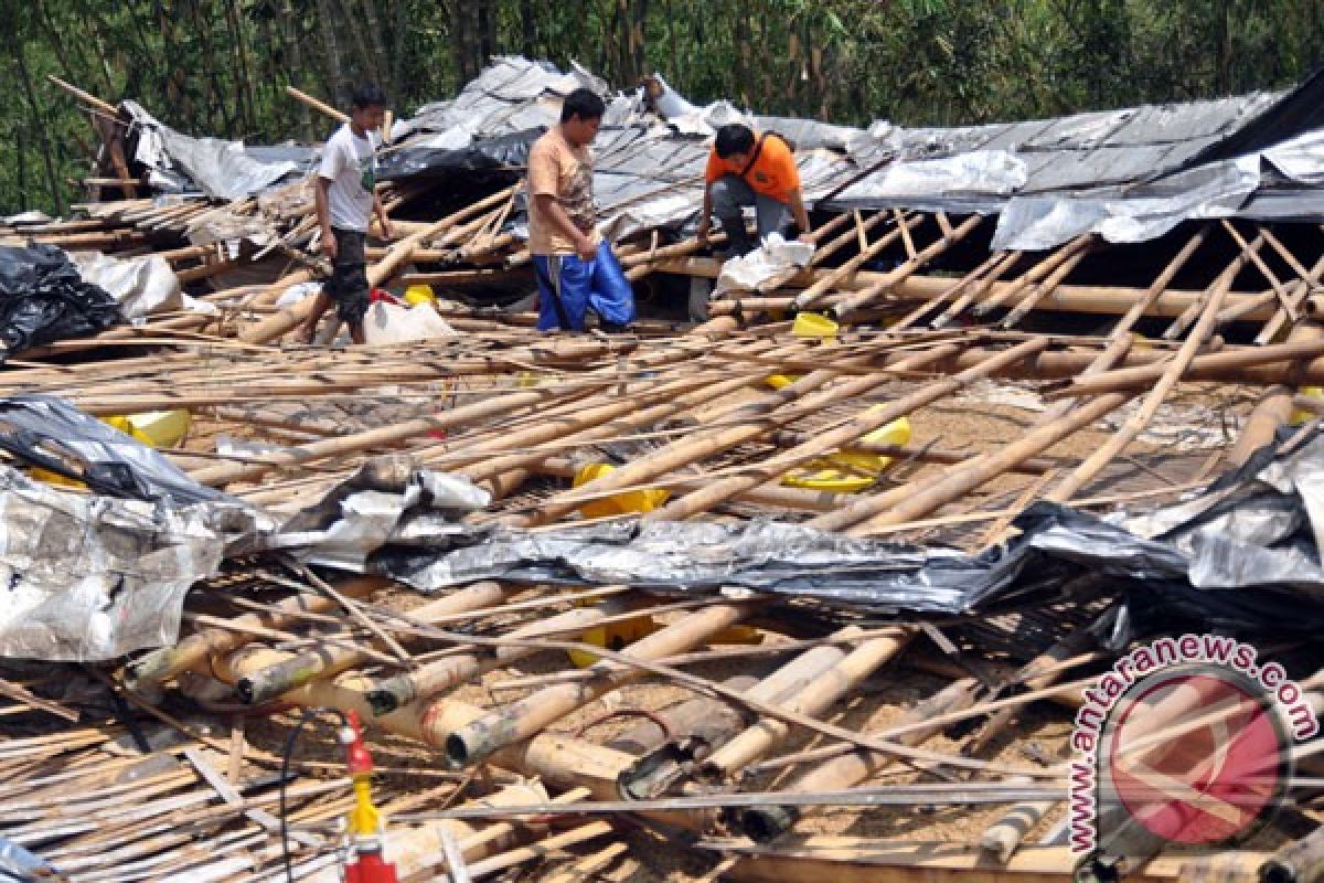 318 bangunan di Bogor rusak diterjang puting beliung